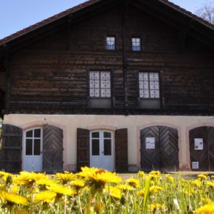 salle