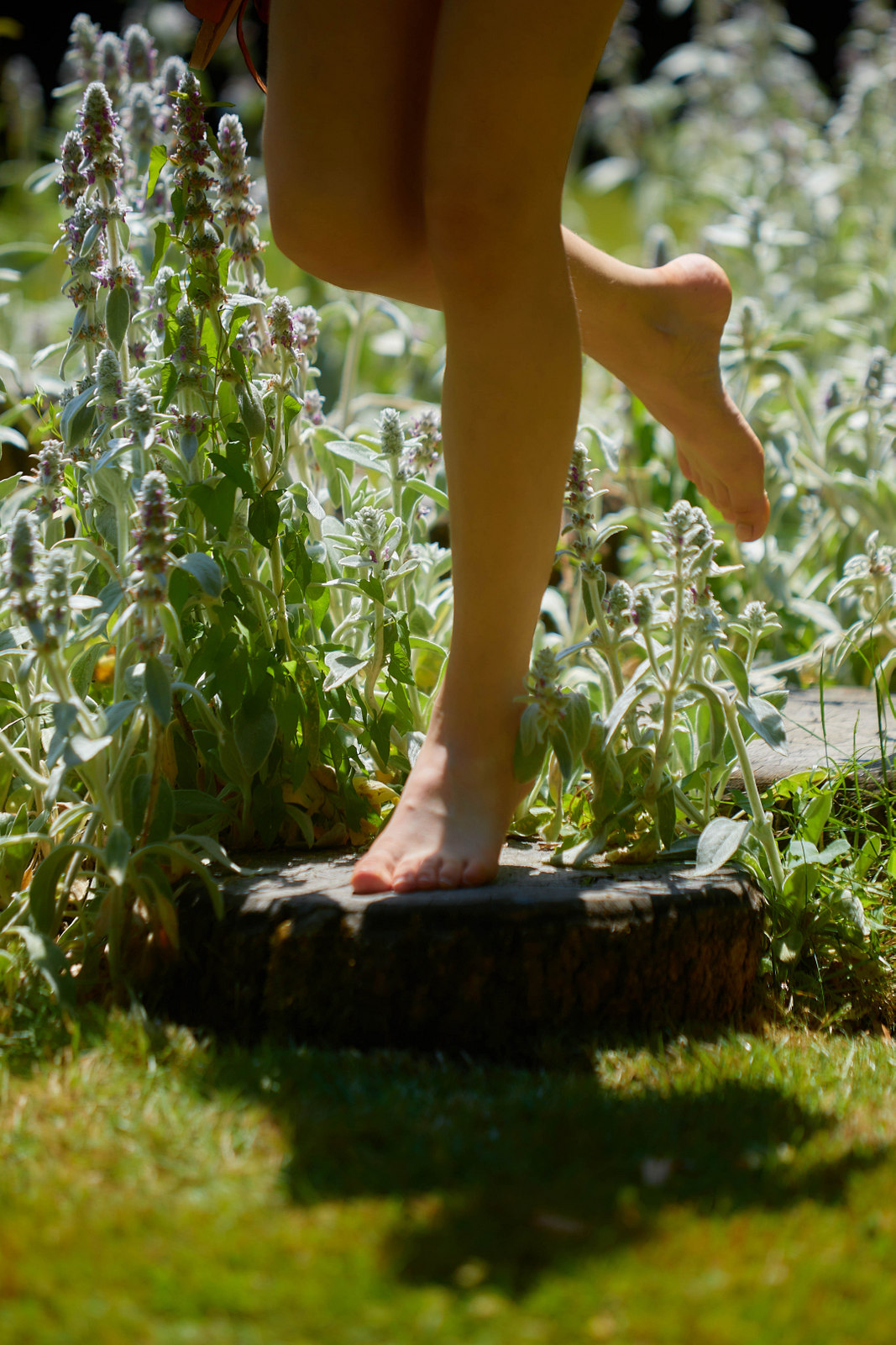 Photo du sentier Pieds-Nus