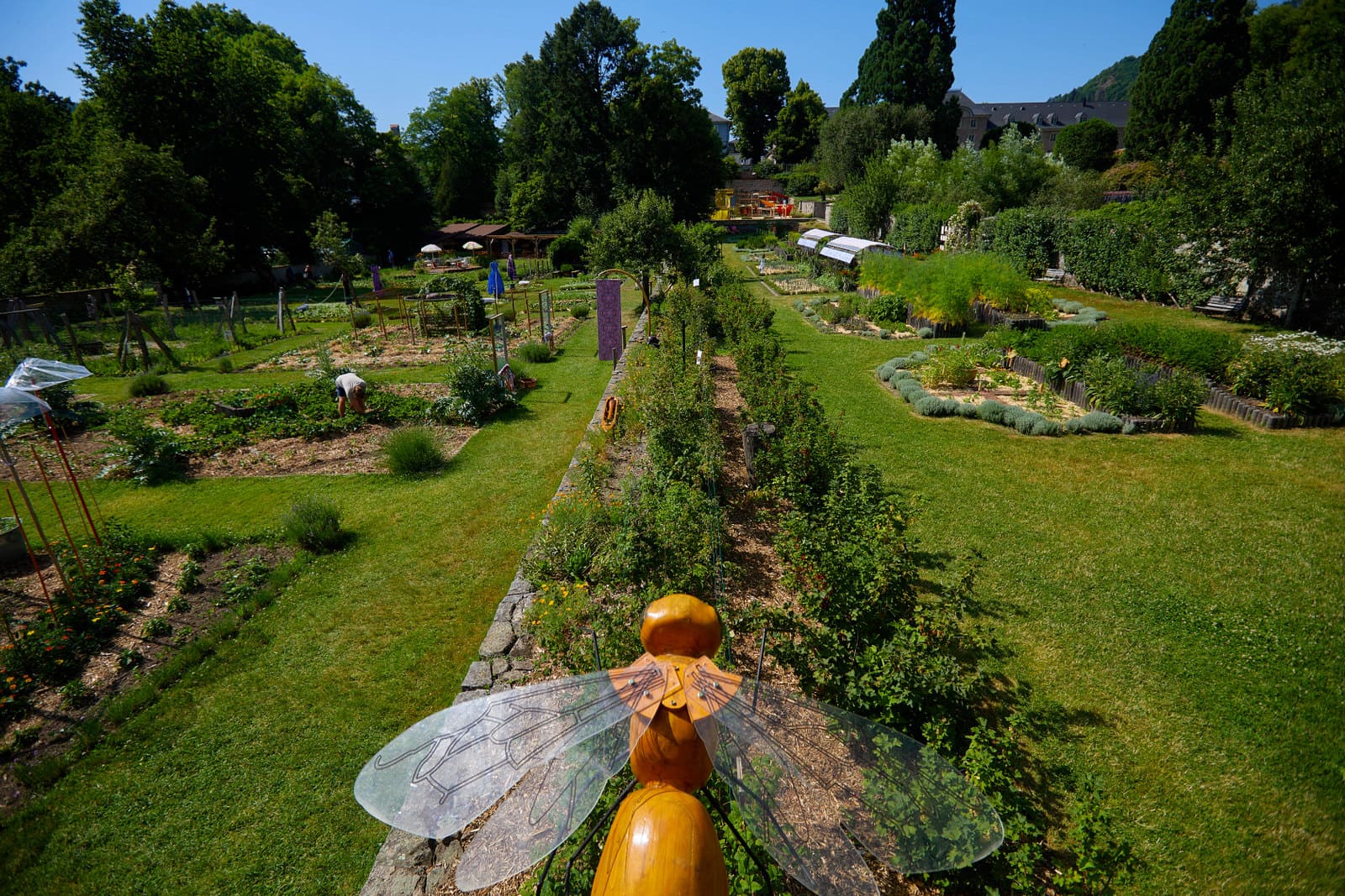 Photo du potager du Parc de Wesserling