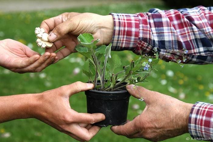 Photo d'un échange d'une plante contre des radis lors du Troc'Jardin