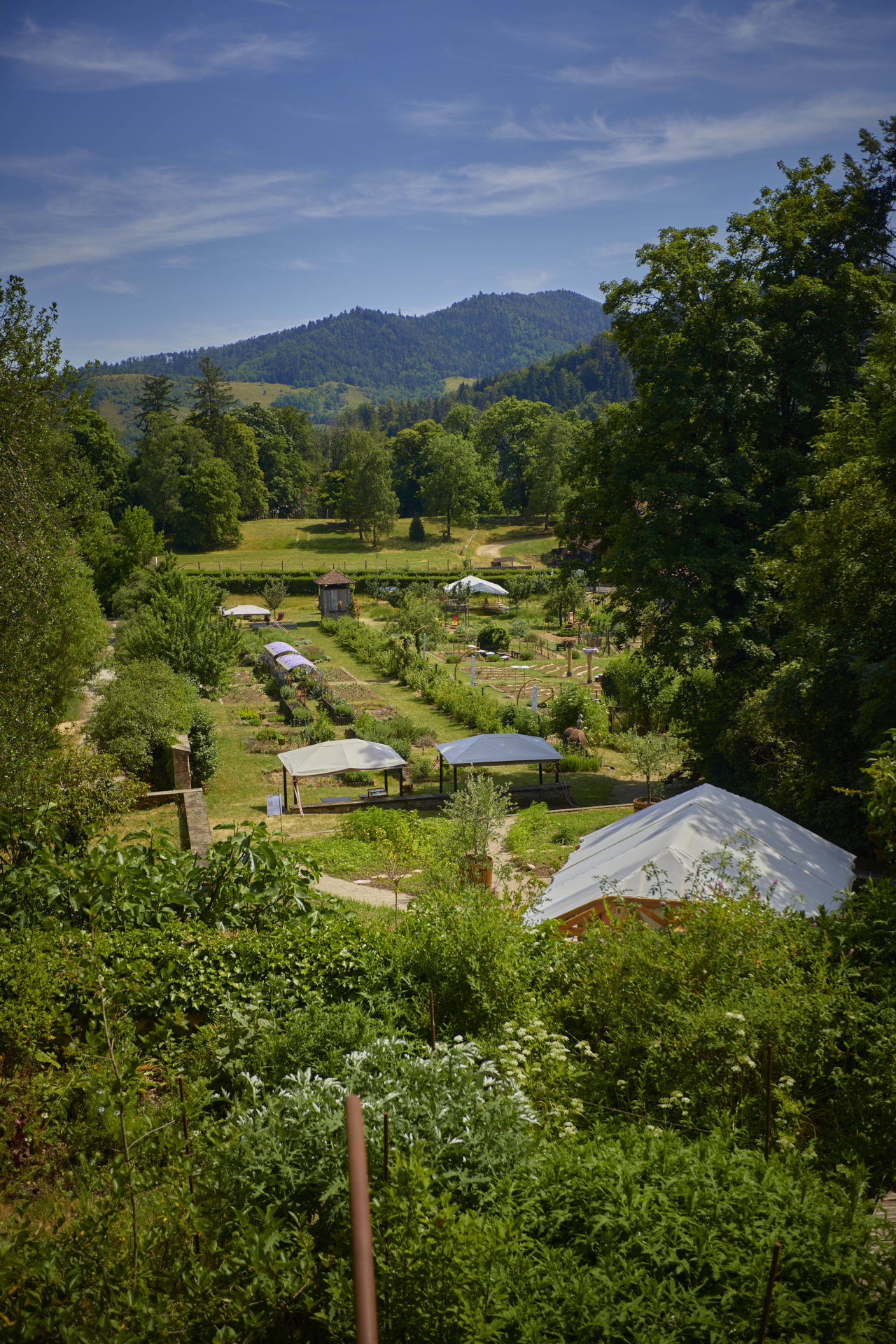 potagers à Wesserling