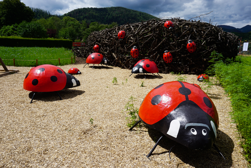 festival des jardins métissés wesserling 2020