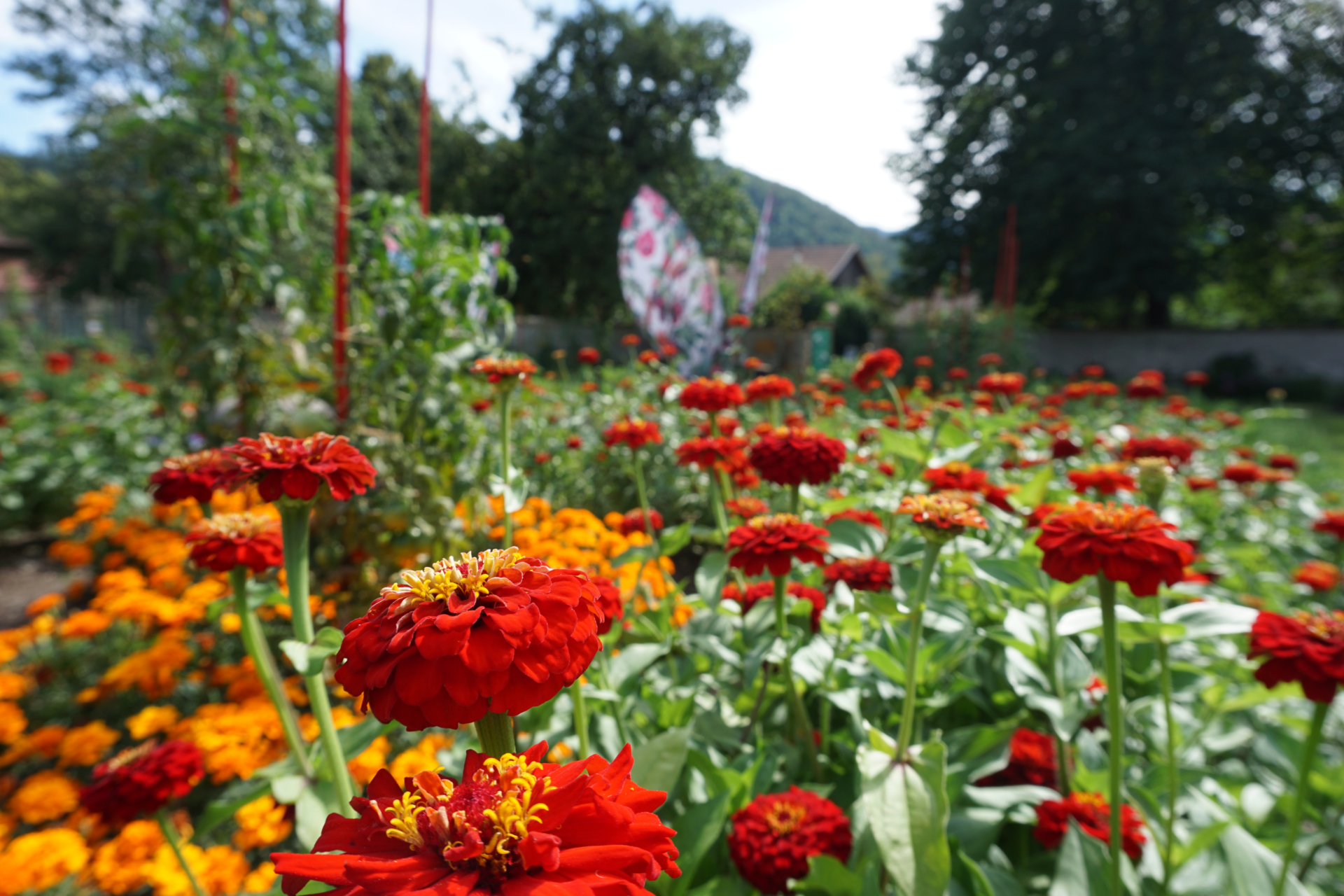 festival des jardins métissés wesserling 2020