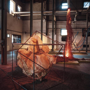 Grande Chaufferie - sur les traces de l'ermite et sa chimère